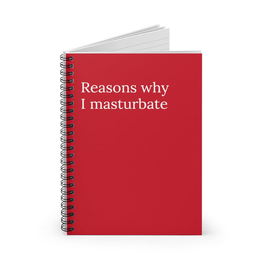 Reasons Why I Masturbate Funny Notebook